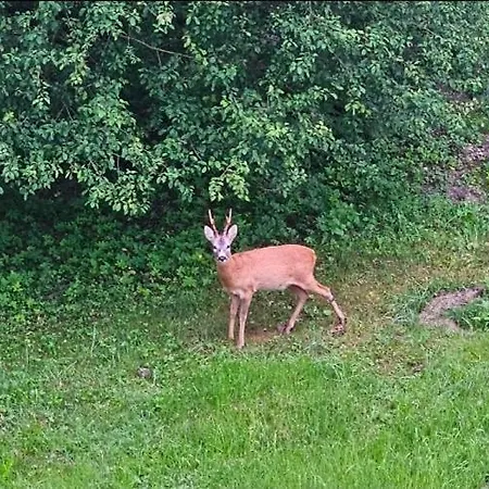 게스트하우스 Nowjus *