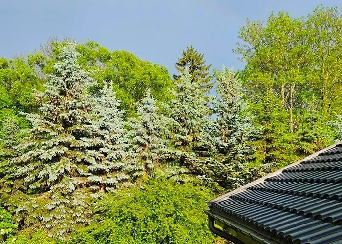 Nowjus Grzmiaca (Walbrzych)